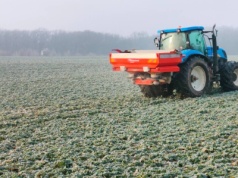 Wykorzystuj przymrozki do uzupełniania potasu i magnezu