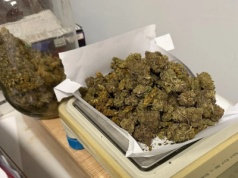 Narkotyki nie trafią na ulice! Policyjna realizacja w Kamieńcu Ząbkowickim zakończona sukcesem