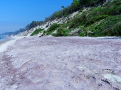 Fioletowa plaża nad Bałtykiem. Jak powstaje to wyjątkowe zjawisko?