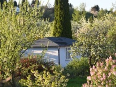 Zburzyli mu altanę. Stracił kota. Teraz wyganiają seniora z kontenera