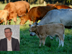 „Rolnik musi zarobić i zakład musi zarobić”: premia za zrównoważoną produkcję musi być wyższa!