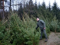 Leśnicy już gotowi na wyjątkową i szlachetną akcję. W środę będzie można otrzymać choinkę