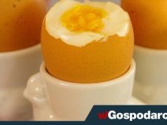 Pilny komunikat GIS. Popularny produkt wycofany