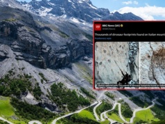 Niezwykłe znalezisko we Włoszech. Odkryto tropy dinozaurów sprzed 210 mln lat