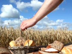 Bartosz Mielniczek: Państwo musi pomóc polskim rolnikom