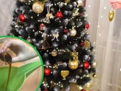 Energetyk dla żywej choinki. Podlewaj co tydzień, a dotrwa do Trzech Króli