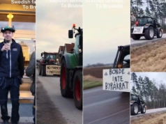 1400 km ciągnikiem. Rolnik ze Szwecji jedzie na protest do Brukseli