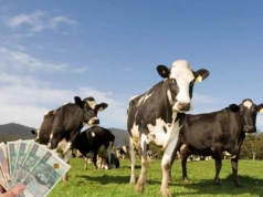 Produkcja mleka wyhamuje? Nowa prognoza KE do 2035 r.