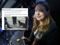 Pełczyńska-Nałęcz z psem w Sejmie. "Trząsł się ze stresu"