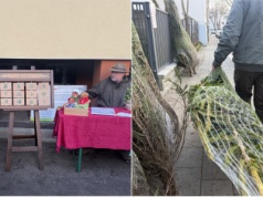 Każdy, kto oddał krew, oprócz czekolady otrzymał choinkę. Świąteczna akcja w całej Polsce