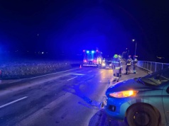 Zderzenie peugeota z sarną koło Lublina. Są utrudnienia w ruchu