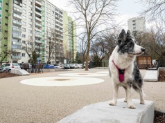 Nowy skwer przy Bogusławskiego na Bielanach już otwarty