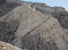 Tysiące śladów dinozaurów odkrytych przypadkiem na skale. 