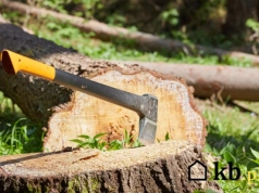 Jedno drzewo i gigantyczna kara. Tego błędu w ogrodzie lepiej nie popełniać