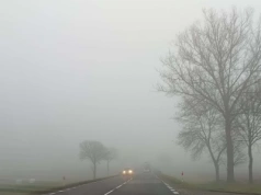 IMGW ostrzega przed gęstą mgłą. Alert dla powiatu wysokomazowieckiego
