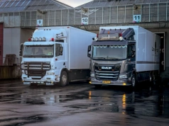 Dwa pokolenia solówek DAF-a przy wspólnej pracy: ciekawy tuning i kwestie prawne