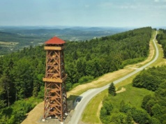 Tę wieżę w koronach drzew odwiedzisz za darmo. Wspaniałe widoki gwarantowane