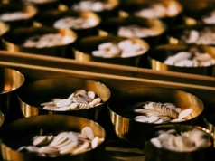 Afryka Środkowa: Biskupi wzywają do położenia kresu 