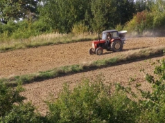 Rolnik chce wydzierżawić ziemię, współwłaściciel mówi „nie”. Co można zrobić?