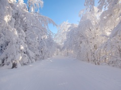 Kiedy wypada pierwszy dzień zimy? Są aż trzy daty