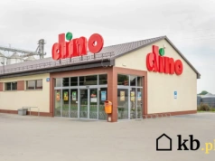 Dziennikarze ujawniają kulisy Dino. Tak wygląda droga owoców i warzyw na półkę