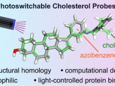 Naukowcy stworzyli "trzeci cholesterol". Ten będzie pomagał leczyć