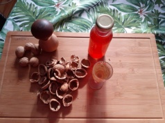 Leczniczą orzechówkę zrobisz z łupin. Może obniżyć ciśnienie, złagodzić objawy niestrawności i zwalczyć pasożyty