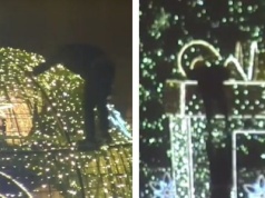 Chcieli wspiąć się na świąteczną instalację. Zaskakujący finał interwencji