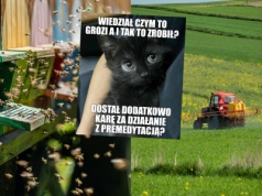 Rolnik, który nielegalnymi opryskami przyczynił się do zagłady ponad 7 milionów pszczół, został skazany