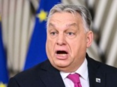 Polityka ostra jak gulasz. Sikorski "uhonorował" Orbana Orderem Lenina