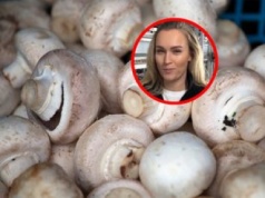 Można jeść surowe pieczarki? Kamila Boś rozwiewa wątpliwości