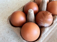 Gdzie wyrzucić wytłaczanki po jajkach? Odpowiedź nie zawsze jest taka sama