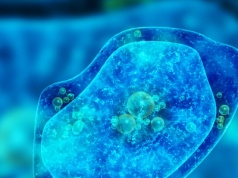 Zagrożenie ukryte w wodzie. "Konie trojańskie" z groźnymi wirusami