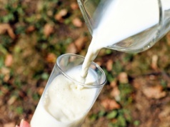 Załamanie cen mleka. Węgry apelują o wsparcie KE