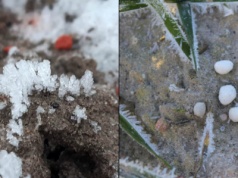 Jakie nawozy można aplikować zimą? Istnieje co najmniej kilka możliwości