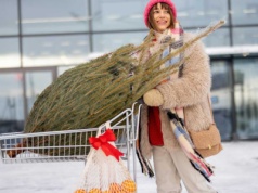 Gdzie najtaniej kupić choinkę? Sprawdziliśmy ceny