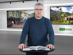 Bydło na dopingu. Z tym musi konkurować polski rolnik