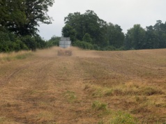 Wapnowanie gleb. Tanie wapno to nie zawsze dobre wapno