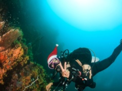 Świąteczne życzenia z głębin. Przystrojona choinka na dnie jeziora