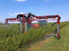 Skuteczna ochrona roślin - formulacja ma znaczenie!