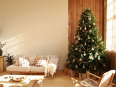 Rozpuść w wodzie i podlewaj choinkę. Postoi aż do lutego