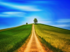 OPR-ów już nie będzie. Ziemia z wielkich dzierżaw tylko dla spółek KOWR i gospodarstw rodzinnych