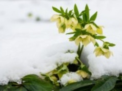 Od godz. 16:03 można wypatrywać wiosny. Dziś najkrótszy dzień w roku