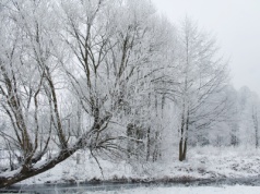 Czy to będą białe święta? Jest duża szansa na śnieg w Wigilię