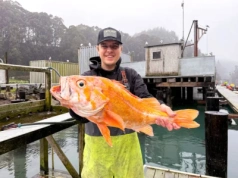 Wędkarz wypłynął na chwilę, pobił rekord. „Świąteczna ryba”