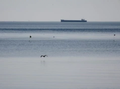 Szwedzi weszli na pokład rosyjskiego statku. Co znaleziono?