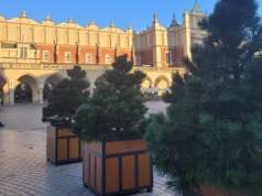 166 mln zł na zieleń. Kiedy Kraków zobaczy realne zmiany?