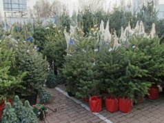 Czesi krytykują jeden produkt z Polski. Jakość gorsza niż w Czechach