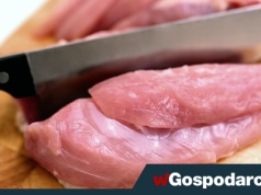 Eksport rośnie. Niemcy na potęgę kupują polskie mięso