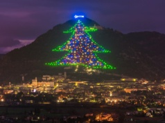 To największa choinka na świecie. Jest trzy razy wyższa niż Pałac Kultury w Warszawie